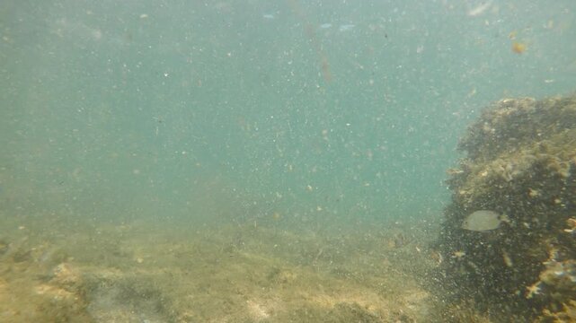 Waste pollution in the underwater Mediterranean Sea. 