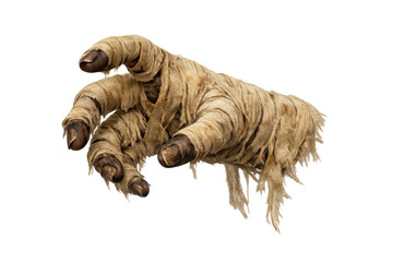 Obraz premium Mummy hand reaching out, wrapped in bandages, symbolizing ancient egyptian horror, halloween, and decay on transparent background