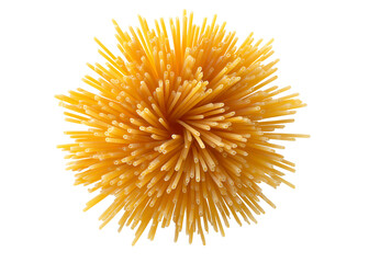 Spaghetti bundle resembling fireworks isolated on a transparent background