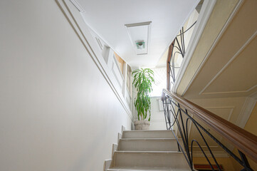 Fototapeta premium Elegant indoor staircase with wooden handrail and wrought iron balusters. Light beige steps, white walls with molding, potted dracaena plant at the base, bright natural light
