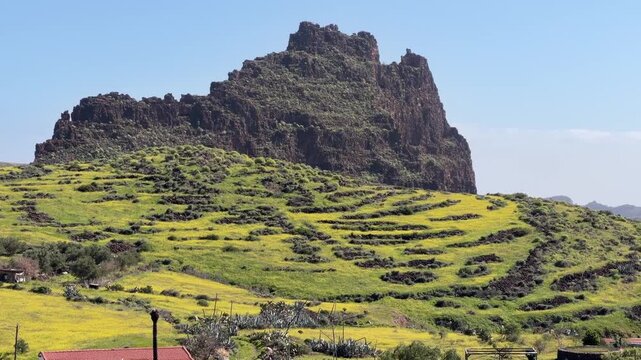 Paisaje florido en la cumbre de Gran Canaria en primavera