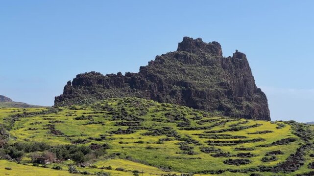 Paisaje florido en la cumbre de Gran Canaria en primavera