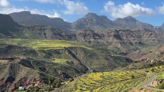Paisaje florido en la cumbre de Gran Canaria en primavera