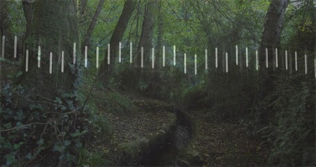 Fototapeta premium Flowing narrow winding stream cutting leaf-strewn channel through dim ravine with light-bar band