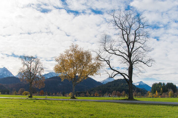 Obraz premium Autumn rural landscape with warm seasonal colors in Bavaria, Germany.