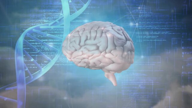 3D brain model rotating and tilting on play, DNA helix pulsing, code scrolling for medical research
