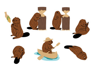 Fototapeta premium Beaver - digital vector drawing collection illustrations of beaver in nature life