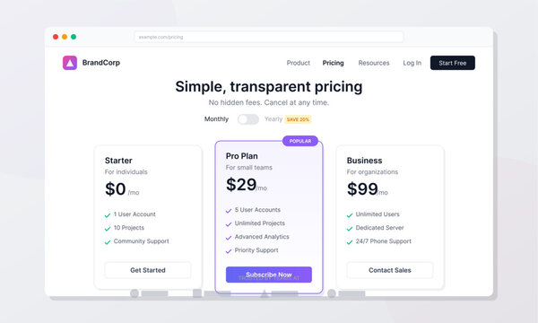A clean web browser interface displaying a software subscription pricing page with three tiers: starter, pro, and business plans, featuring a modern minimalist user interface design.