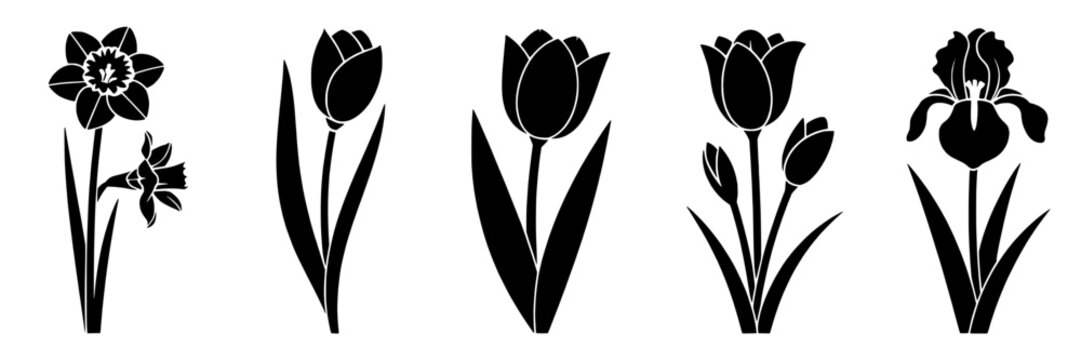 Flowers silhouette icon set with daffodil tulip and iris black vector shapes, minimal botanical spring bloom symbols for logo, tattoo, stencil, clipart and decor