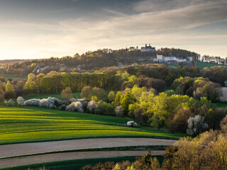 Malowniczy widok na Górę św. Anny w województwie opolskim. Wiosenny krajobraz z zielonymi polami, kwitnącymi drzewami i bazyliką na wzgórzu o zachodzie słońca. Perła Opolszczyzny. © Henryk Niestrój