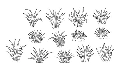 Simple Black And White Line Set Of Various Grass Types And Plants botanical lineart © hafsa01