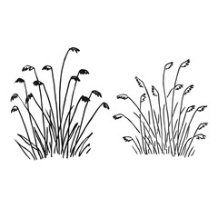 Set tufts greenery. Hand drawn vector illustration.