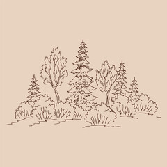 Nature landscape, forest. Hand drawn vector illustration.