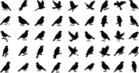 Naklejka premium Collection of black bird silhouettes in various poses