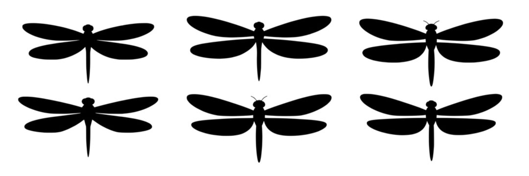 Dragonfly silhouette set with six flying insect icons in black, minimal flat vector shapes isolated on white, symmetrical wings, nature wildlife symbol pack