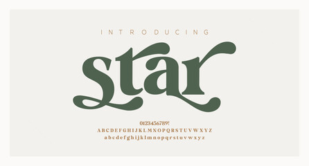 Star luxury typography beauty fashion elegant minimalist serif italic fonts decorative wedding vintage retro logos. Minimal luxury font alphabet logo. Vector illustration  © fonteraa