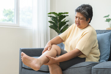 Muscle pain or leg pain, suffer asian aged woman, senior massaging brawn leg calf muscle cramps or...