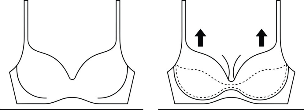 Bra support anatomy illustration showing lift effect and breast shaping comparison outline vector design for lingerie education