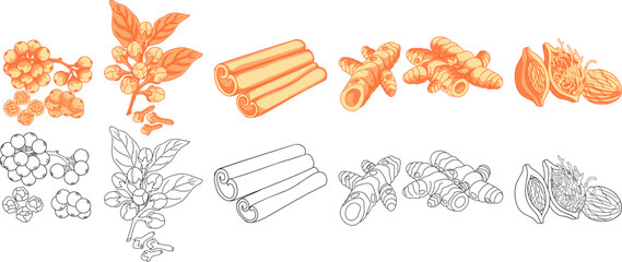 set of famous Indonesian spices featuring black pepper, cloves, cinnamon sticks, turmeric rhizomes, and nutmeg.Perfect for culinary branding, organic food packaging, botanical labels, and herbal.