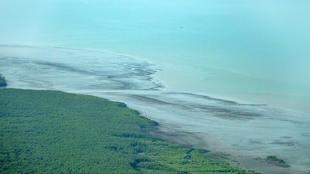 A panorama of the Andaman Sea coastline on Penang Island. Below are magrove forests and the intertidal zone (low-tide zone). Dipterocarp forests on the hilltops.