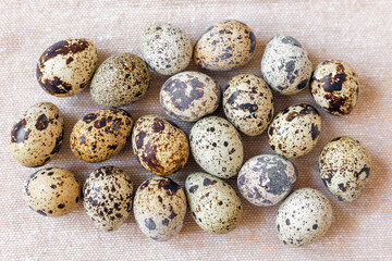 Fototapeta premium Quail eggs arranged on a neutral surface with various patterns and colors for display and use in cooking
