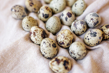 Obraz premium Quail eggs arranged on a cloth surface in a home kitchen setting during daylight hours
