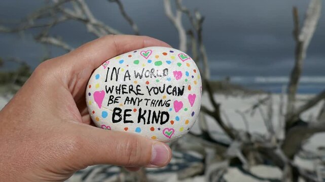 Hand holding be kind kindness rock with beach driftwood tree out of focus in background