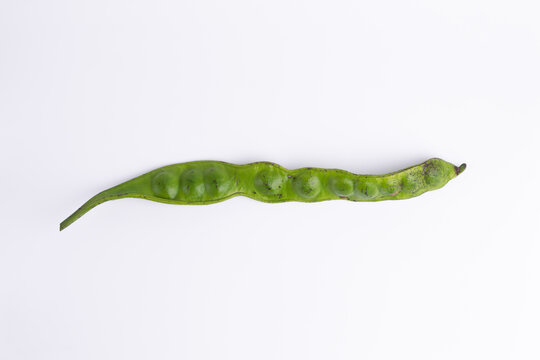 Flat lay top view of fresh green petai or Parkia speciosa pod isolated on white background. Tropical stink bean vegetable for asian cuisine cooking.
