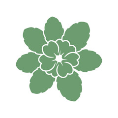 Green Mint Leaf Flower Vector Icon Isolated Botanical Herb Illustration © artificial_azad!