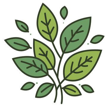 Plantas