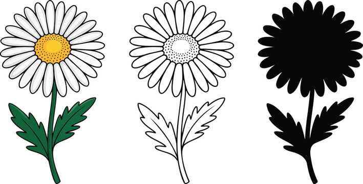 Daisy flower silhouette & Outline and illustration set isolated on transparent background
