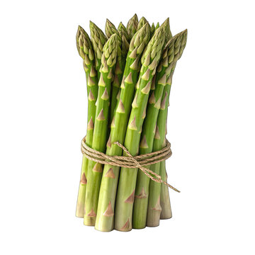 A hyper-realistic 3D render of a vertical bunch of asparagus spears on a seamless white background. The material uses a Subsurface Scattering (SSS) shader to capture the slight translucency of fresh g