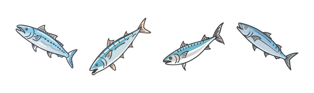 Four king mackerel fish swimming in aquatic environment, seafood illustration