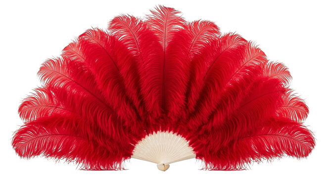 A vibrant red feather fan opens gracefully, showcasing its full plumage against a clean white.