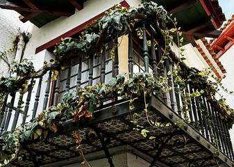 Beautiful antique balcony with flowering plants on the railing