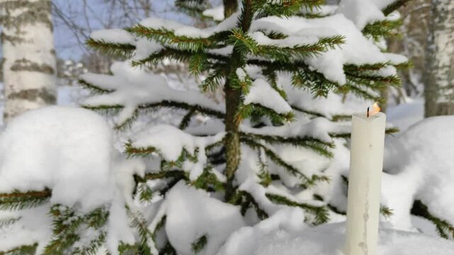 A candle burns on a spruce branch