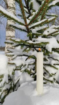 A candle burns on a spruce branch ( slow motion )