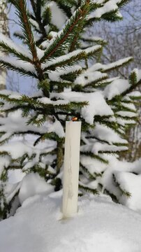 A candle burns on a spruce branch