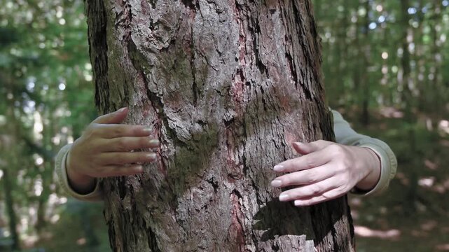 Tree Hugging and Forest Therapy, Connection with Nature and Wellbeing