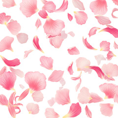 Delicate pink flower petals floating gently in air