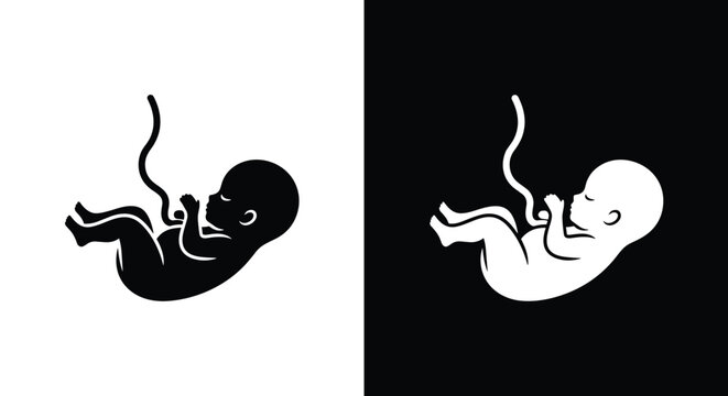 Minimalist black and white vector illustration of a human fetus with umbilical cord representing prenatal development pregnancy medical science and new life beginning