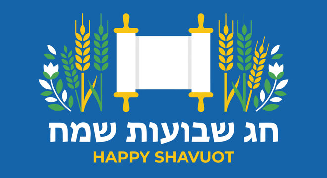 Happy Shavuot greeting card with white Hebrew text Chag Shavuot Sameach and open Torah scroll with wheat ears for Jewish religious festival of weeks celebration.
