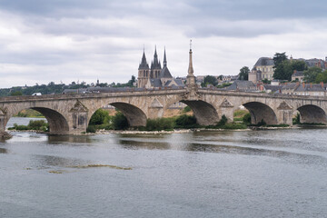 Obraz premium Pont Wilson Bridge and Blois Skyline - Wide view of the Loire River with the historic Pont Wilson stone bridge and the city skyline of Blois, France, under a cloudy sky.