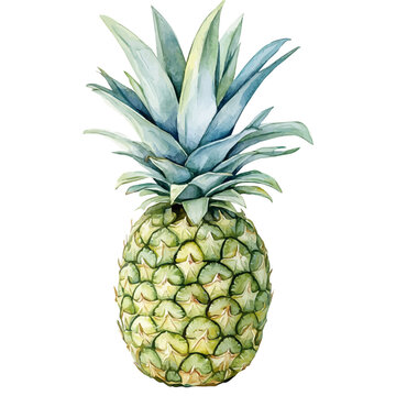 Pineapple, cute watercolor illustration with intricate patterns and vibrant splashes, isolated on a white background.