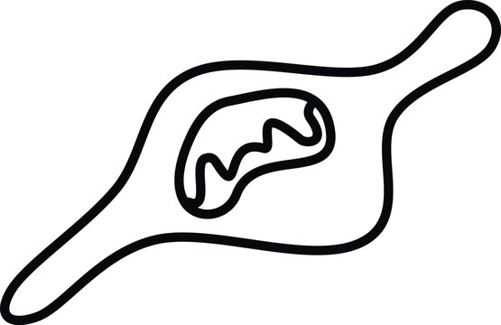 Paramecium line art drawing representing a microscopic ciliate organism biology