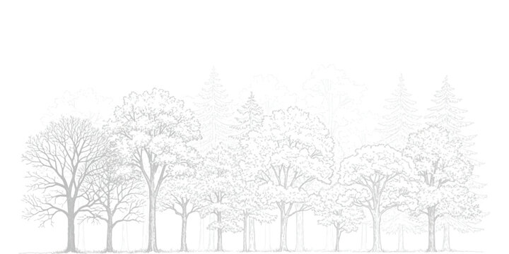 A minimalist monochrome line art illustration of a diverse forest tree line against a white background