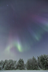 Northern Lights
