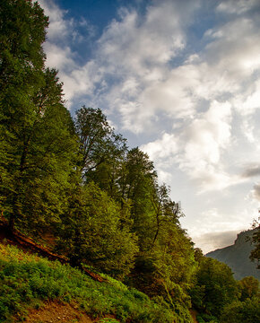 Lush green forested mountains near Gabala, Azerbaijan, under a dramatic cloudy sky. Scenic Caucasus landscape inviting eco-tourism, hiking, travel adventures, and nature exploration in Azerbaijan.