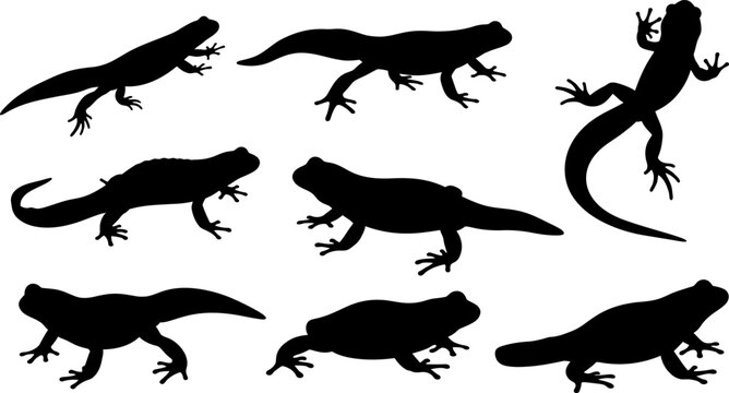 Collection of various lizard silhouettes on white background