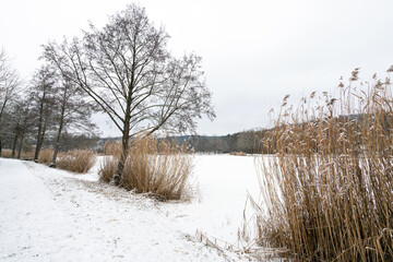 Horrheim Seewaldseen